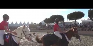 Stand CSO Poney 3D Equipe Junior